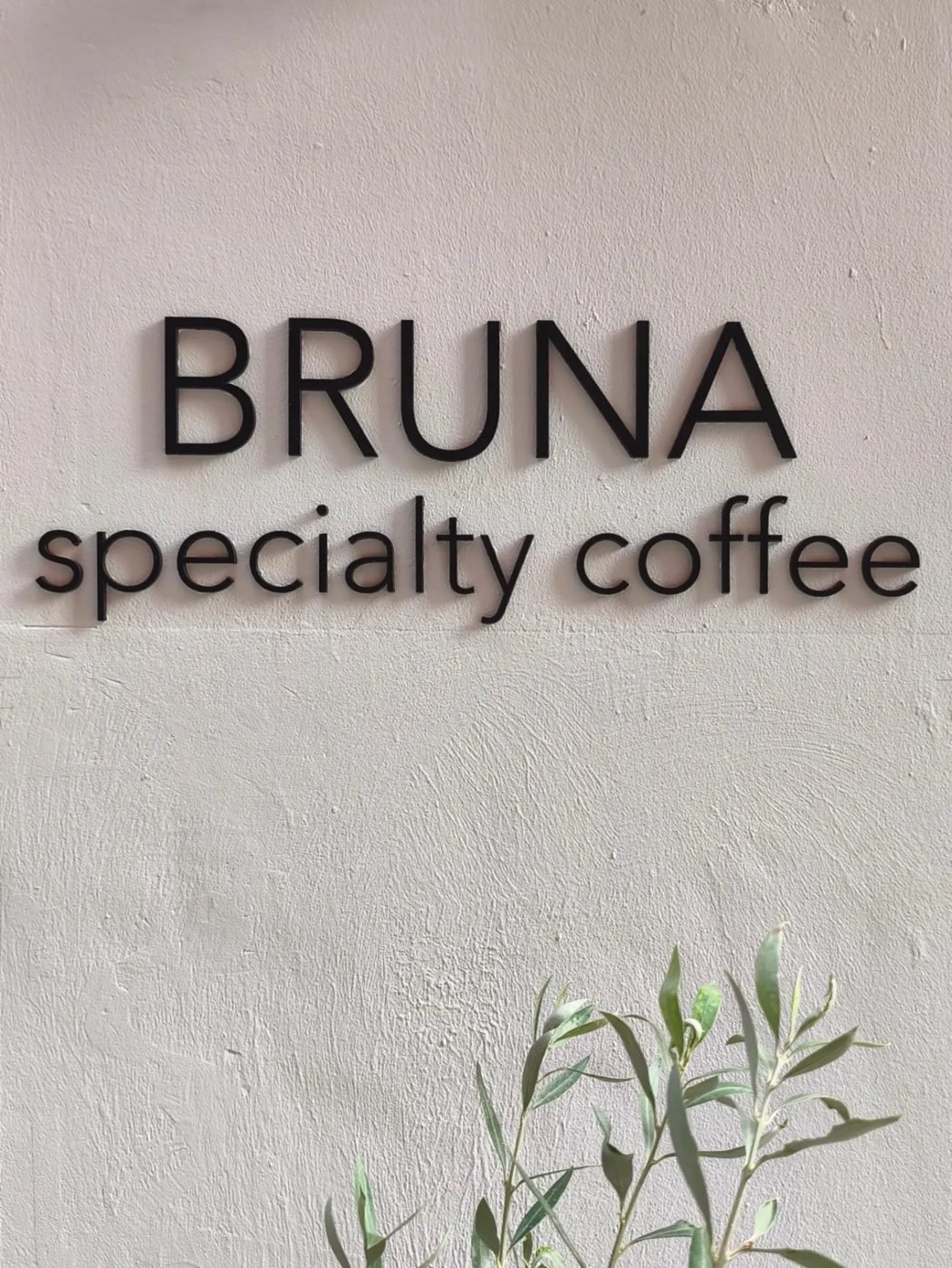 Rótulo de Bruna specialty coffee en la pared, junto a un olivo